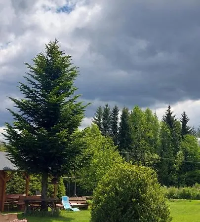 V šumavském Domě *