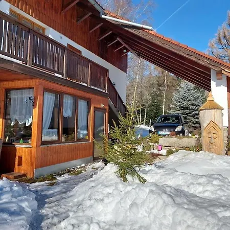 V Sumavskem Dome Apartment *