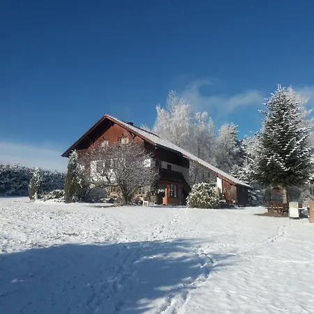 V šumavském Domě Apartamento *
