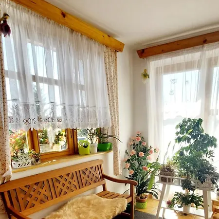 V Sumavskem Dome Apartment *