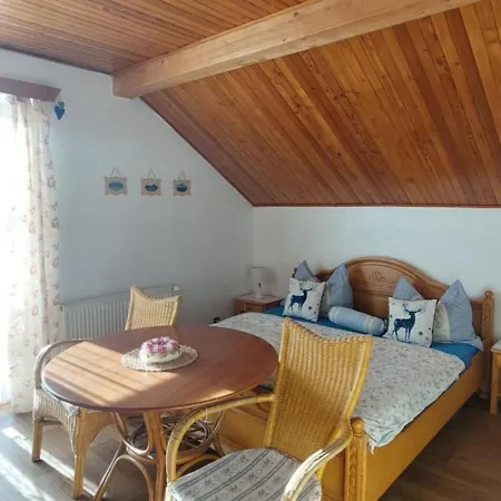 V šumavském Domě Nove Hute