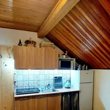 V Sumavskem Dome Apartment *