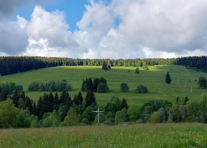 V Sumavskem Dome